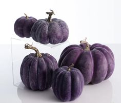 four purple velvet pumpkins sitting next to each other