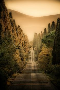 an empty road surrounded by trees in the middle of a mountain range at sunset or sunrise