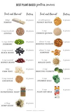 Protein Cupcakes, Plant Based Protein Sources, Vegan Protein Sources, Protein Dinner, Plant Based Diet Recipes, Vegetarian Protein, Protein Muffins, Protein Desserts