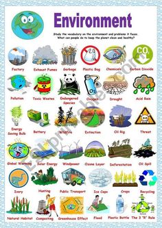 the poster shows different types of environmental activities