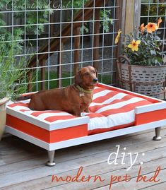 a brown dog laying on top of a red and white bed with flowers in the background