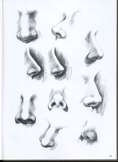 an open book with drawings of nose shapes