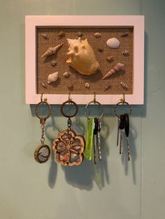 there are several key chains hanging on the wall next to a shadow box with shells and seashells in it