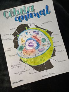 a diagram of the cell and its parts on a piece of paper with words below it