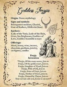 Freyja: Goddess Symbols, Correspondences, Myth & Offerings – Spells8 Venus Roman Goddess, Venus Altar, Wiccan Chants, Venus Goddess, Witch Tips, Nature Witch, Spell Books, Witch Spirituality