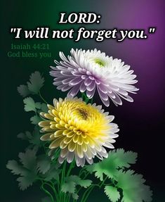 two white and yellow flowers with the words lord i will not forget you