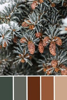 the color scheme is brown, green and white with pine cones on it's branches