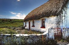 an old thatched roof house with red shutters