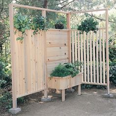 a wooden fence with plants growing on it