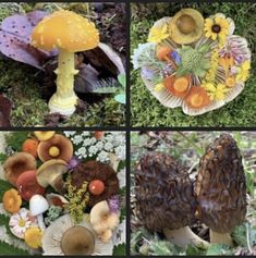 four pictures of different types of mushrooms in the grass with flowers and leaves around them