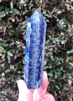 a hand holding a large blue crystal point in front of some bushes and shrubbery