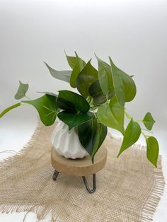 Fake Plants in White Ceramic Vase, Realistic Greenery Kitchen Shelf Decor Greenery Kitchen, Coffee Table Plants, Glass Vases Centerpieces, Green Centerpieces, Kitchen Shelf Decor, Desk Plants, Fake Plants Decor, White Ceramic Vase, Geometric Vases