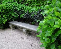 there is a bench in the middle of some bushes and plants that are around it