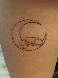 a small dog sleeping on the moon tattoo