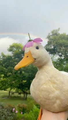 a white duck with a pink flower on it's head sitting in someones hand