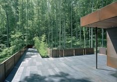 an empty walkway in front of some tall trees