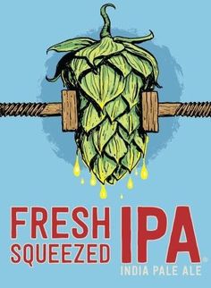 fresh squeezed beer logo with hops hanging from the top and water droplets on the bottom