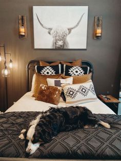 a black and white dog laying on top of a bed next to two lamps in a bedroom