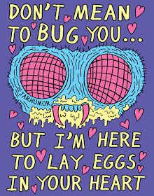 the words don't mean to bug you but i'm here to lay eggs in your heart