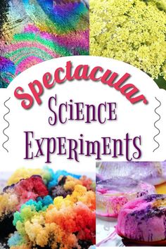 Science Experiments For Toddlers, Cool Experiments, At Home Science Experiments, Gratis Printables, Experiments For Kids, Science Activities For Kids