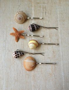 sea shells and seashells are arranged on a wooden table with silver bobby pins