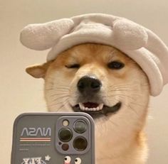 a dog with a hat on its head holding a cell phone in it's mouth