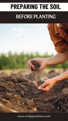 Preparing the Soil Before Planting Planting In Sandy Soil, Soil Types, Soil Type, Soil Texture, Acid Loving Plants, Southern Garden