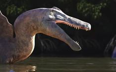 an image of a dinosaur in the water