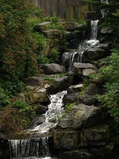 a small waterfall in the middle of a forest