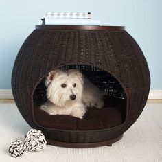 a white dog sitting in a brown pet bed