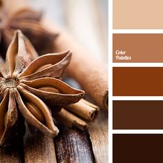 cinnamon sticks and star anise on a wooden table