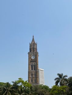 a tall clock tower towering over a city filled with trees and palm trees on a sunny day