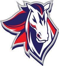 an image of a horse head with red, white and blue colors