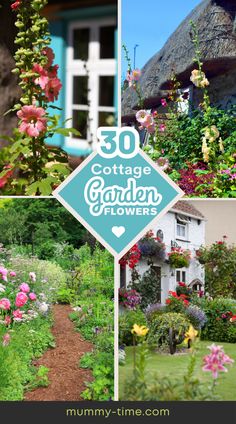 the garden is full of colorful flowers and greenery, including roses in front of a thatched roof cottage