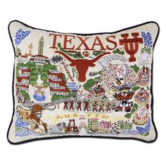 a pillow with texas on it