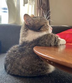 a gray and white cat sitting on top of a wooden table next to a window