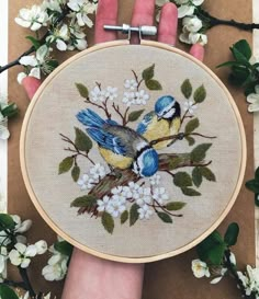 two birds on a branch with white flowers and green leaves in front of someone's hand