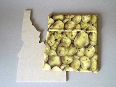 a piece of paper cut in half with apples on it and the state of minnesota