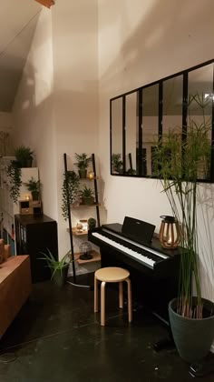 a living room with a black piano and potted plants in the corner next to it