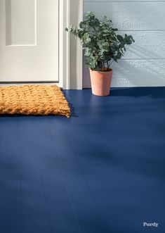 a blue floor with a potted plant next to it and a rug on the ground