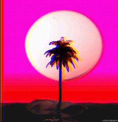 a palm tree in front of a pink and red sky with the sun behind it