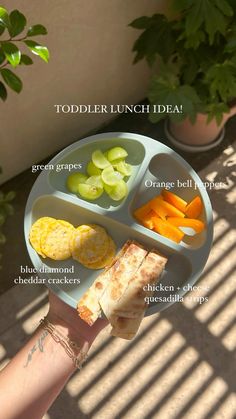 a child's hand holding a tray with food on it and the words toddler lunch idea