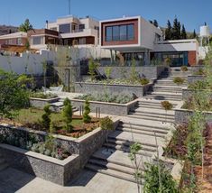 an outdoor garden area with steps leading up to the front of a modern home on top of a hill