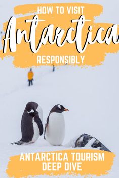 two penguins sitting on top of snow covered ground with text overlay that reads how to visit antarticaa responsiblely