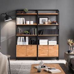 a living room filled with furniture and a book shelf