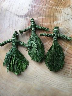 three small green plants are sitting on a piece of wood