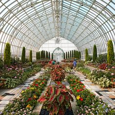 the inside of a greenhouse filled with lots of flowers