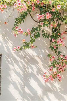 pink flowers growing on the side of a white building