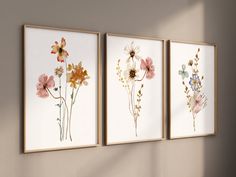 three framed floral prints hanging on the wall