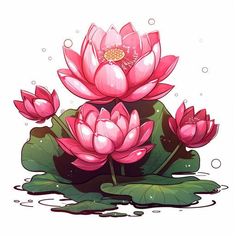 some pink water lilies floating on top of green leaves